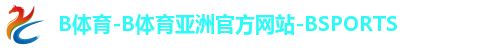 B体育-B体育亚洲官方网站-BSPORTS